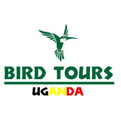 Bird Tours Uganda